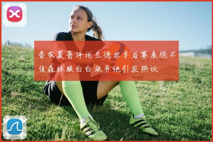 香农夏普评论兰德尔季后赛表现不佳森林狼白白放弃他引发热议