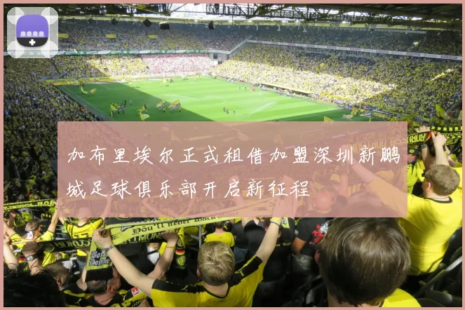 加布里埃尔正式租借加盟深圳新鹏城足球俱乐部开启新征程
